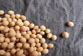 贸易摩擦对我大豆市场影响有限可控